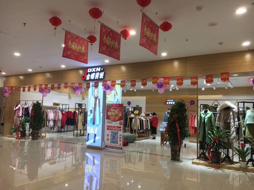 金蝶茜妮女装新店开店,为你打开一条致富路 服装招商资讯 中服网